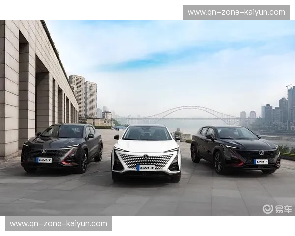 开云极速版——让生活提速，体验未来